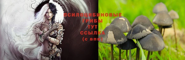 MDMA Алексеевка