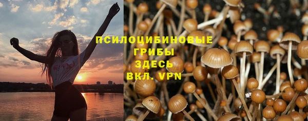 сатива Алзамай