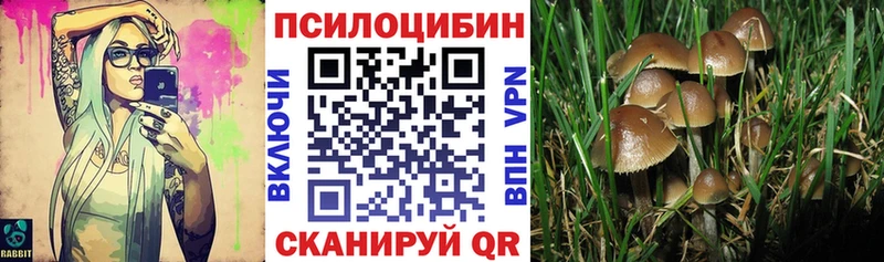 MEGA ссылки цена наркотик Краснослободск Галлюциногенные грибы Magic Shrooms